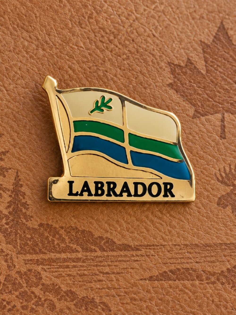 Labrador Canada Unofficial Regional Flag Vintage Souvenir Lapel Pin - Canadian